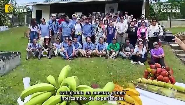 Colombia, Perú y Alemania ante cultivos de coca en áreas protegidas (DSCI)