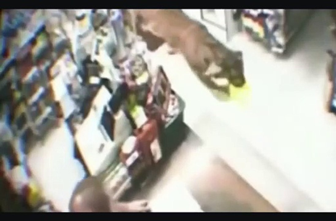 A tiger caused customers to panic in the store
