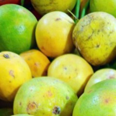 -ANDRÉS DE JESÚS VÉLEZ FRANCO- LUGARES DE RODAJE DE ‘THE RELUCTANT FUNDAMENTALIST’ (PARTE 2) (@AndresdeJesus90)