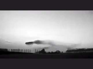 Birds forming in the sky