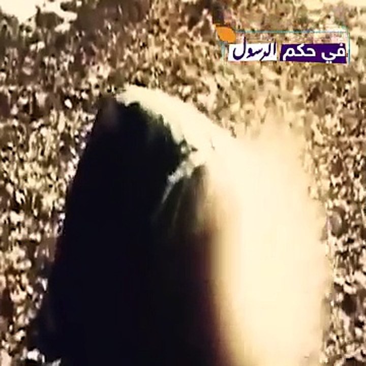 قصة سيدنا اسحاق ويعقوب عليهما السلام ، وقصة توعد العيص قت.ـ.ـل أخيه يعقوب ، وكيف مـ..ـات يعقوب ؟