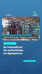 Se intensifican las actividades en Agropecruz