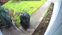ext-¡Insólito! Ladrón se viste de bolsa de basura para robar paquete de una casa-050424