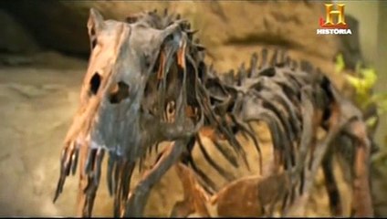 Lucha En El Jurásico: La Batalla Más Sangrienta Revelada