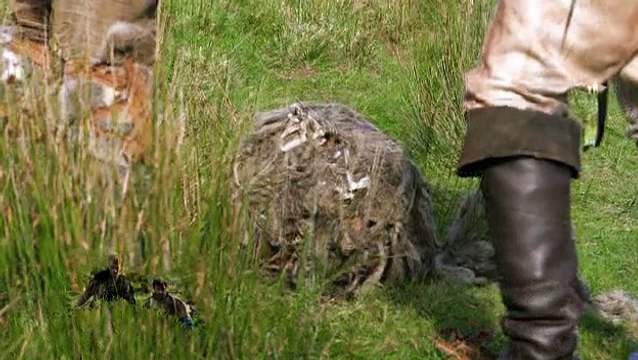 Voir Film Paladin - Le dernier chasseur de dragons Nouveau Film Action Aventure complet en Streaming HD 1080p