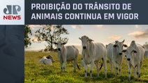 Agricultura libera 16 estados e o DF da vacinação contra febre aftosa