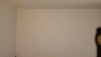 The Bad Guys DVD Overview.