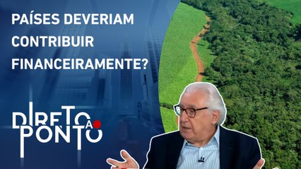 Скачать видео: Afif analisa acusações da preservação ambiental no Brasil: “Hipocrisia e falácia” | DIRETO AO PONTO