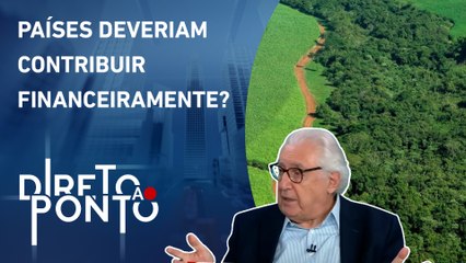 Afif analisa acusações da preservação ambiental no Brasil: “Hipocrisia e falácia” | DIRETO AO PONTO