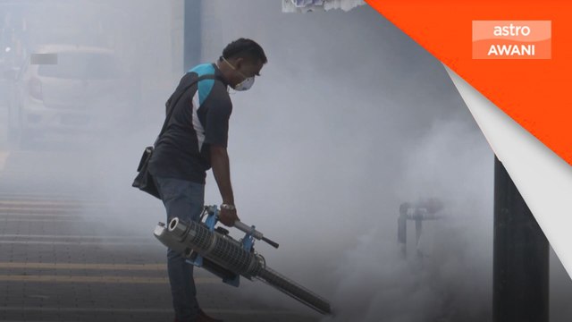 Demam denggi: Tiga kematian direkodkan pada ME-13