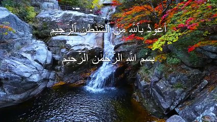 Surah Yunus Verse 21 heart melting voice️ Soothing Quran Recita