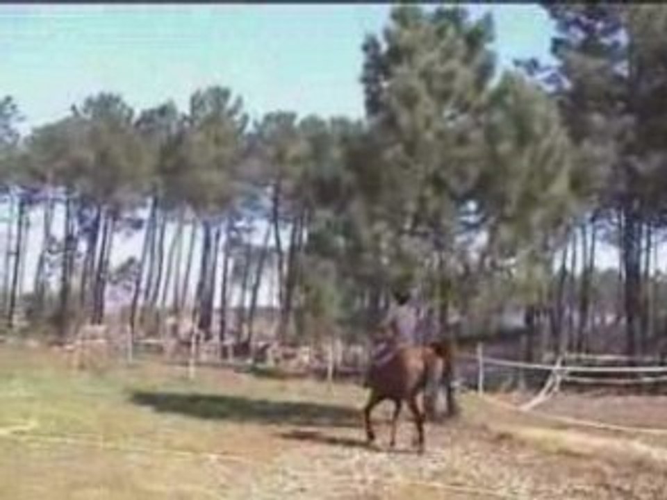 Salles 2007 - Yann au galop