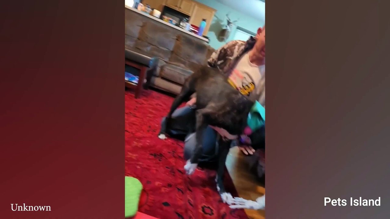 Monkey Obsessed with MAGIC TRICK! FUNNIEST ANIMAL REACTION