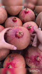 Amazing farm fresh ninja apple