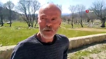 Yaşlı kadının ölümüne sebep olan çoban köpeklerinin sahibi tutuklandı