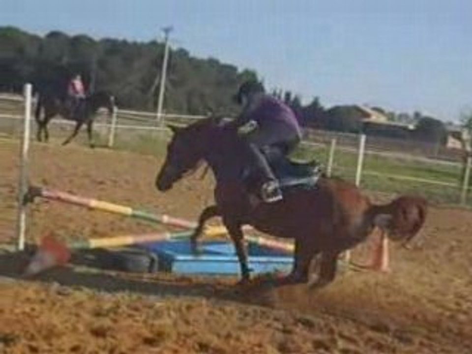 Chute cheval
