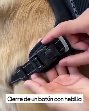 NO PULL DOG HARNESSES IN DOG COLLARS, LEASHES, AND HARNESSES