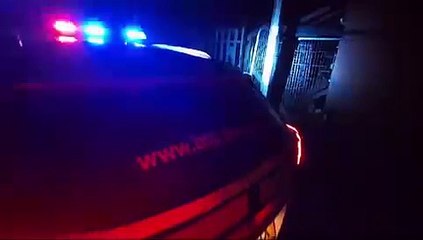 Sheep Safely Rescued from Railway Line in Doncaster 🐑