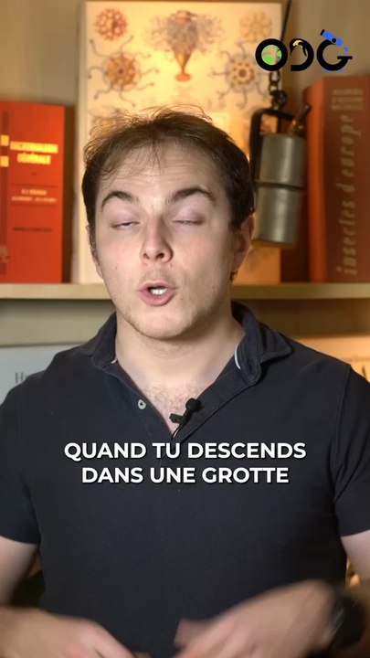 La chaleur de la Terre !