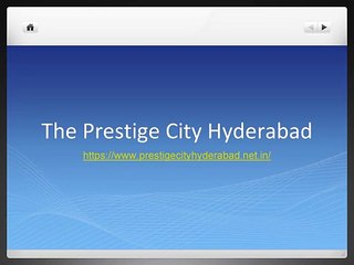 Exploring India's Avian Wonderland: A Dive into the Diverse Birdlife of the Subcontinent