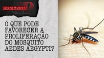 Dengue no Brasil: Mais de 2,5 milhões de casos prováveis em 2024 | DOCUMENTO JP