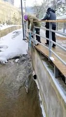 Help everyone doesn't matter human or animal.