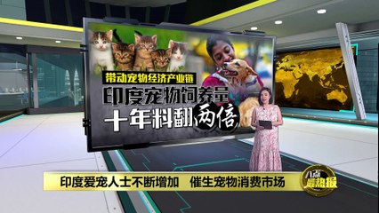 印度宠物热潮席卷全国：宠物数量十年翻倍，市场规模迅速扩大🐶