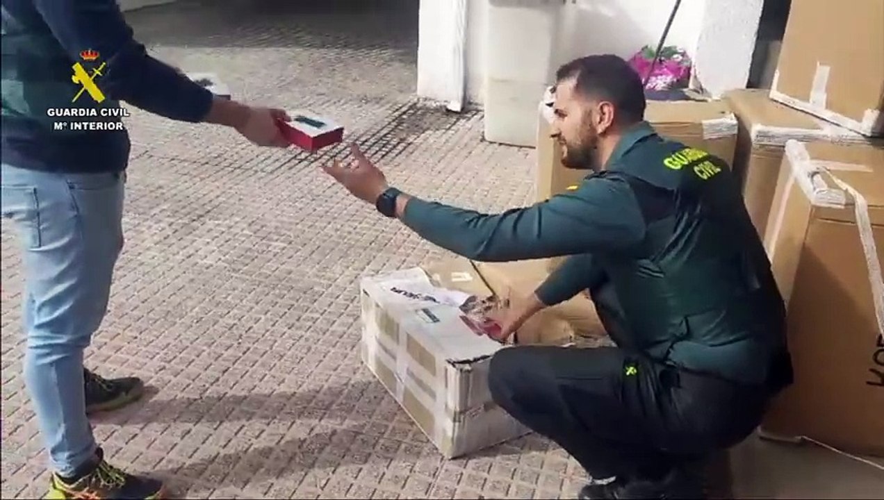 Dos viviendas de un pueblo de Toledo escondían más de 1.200 plantas de marihuana, hay cinco detenidos