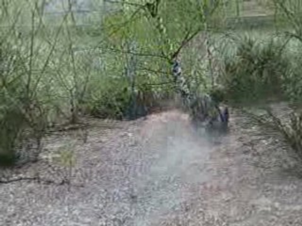 skeurf