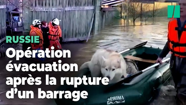 En Russie, après la rupture d’un barrage à Orsk, des milliers de personnes et d’animaux évacués