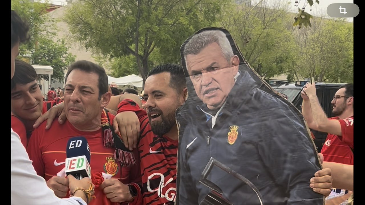 Aficionado del Mallorca