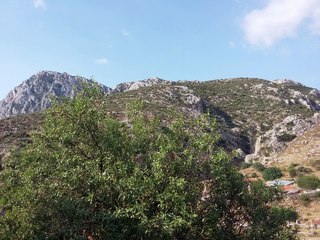 Türkülerle Türkiye - Şırnak - Bugün Bayram Günüdür