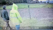 El lobo intenta entrar en una finca de Merindades (Burgos)