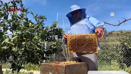 İklim değişikliği arıcıları da etkiledi