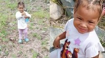 Niña de 2 años desapareció estando a escasos metros de sus padres en Tolima