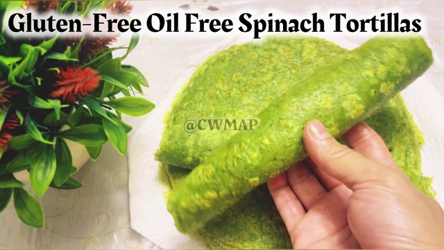 Super Soft Quick & Easy Gluten-free Oil Free Vegan Spinach Tortillas Recipe By CWMAP vegan tortillas,gluten free tortilla recipe,gluten free tortillas,spinach tortillas,tortillas,homemade spinach tortillas,tortilla recipe,vegan,gluten free tortillas rec