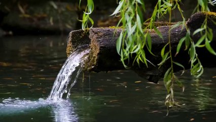 9.Ramazana Fikren Hazırlanma-Oruç Gufranla Tüllenen İbadet M.Fethullah Gülen Sesli Kitap