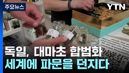 독일, 대마초 합법화...세계에 파문을 던지다 / YTN