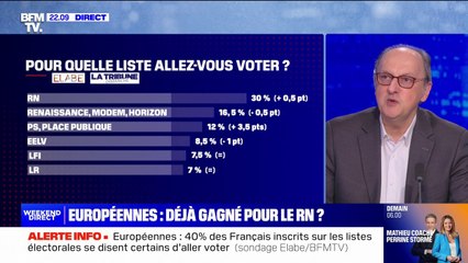 Élections européennes: le Rassemblement national largement en tête avec 30% des intentions de vote, contre 16,5% pour Renaissance (Sondage Elabe)