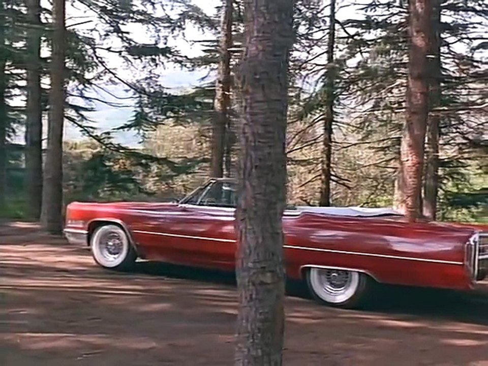 Dangerous Touch (1994) stream deutsch anschauen