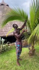 Always asked_ _Whats the key to success_ ..._Mr.wad _motivation _bbcworldwide _africavillage _funny(720P_HD)
