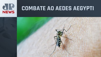 Rio de Janeiro registra dois casos de dengue tipo 3 após 17 anos