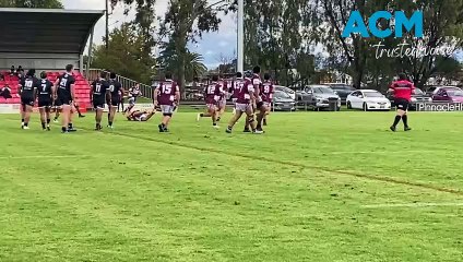 Panthers Dominate Hawks in a Stunning Victory 🏀