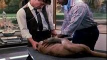 Manimal 1x02.Illusion