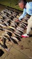 Boosie claims he caught 126 fish, while fishing