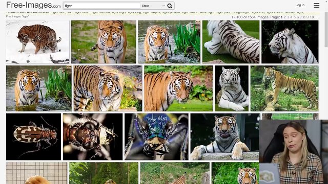 How To COPY Photos & Earn Money For FREE By Reselling Them