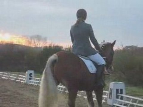 Clem&Iffick dress CP1 cce caudan