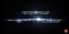 CaptainSparklez - TNT (Minecraft Parody) - (Remix Ending!)