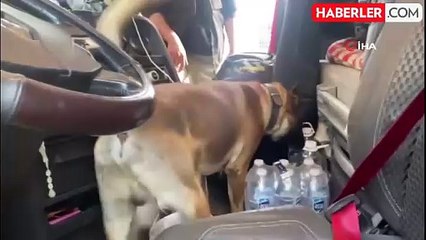 Kapıkule'de 50 milyon liralık uyuşturucu operasyonu