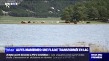 Alpes-Maritimes: une plaine transformée en lac